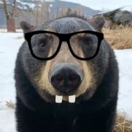 Bearman